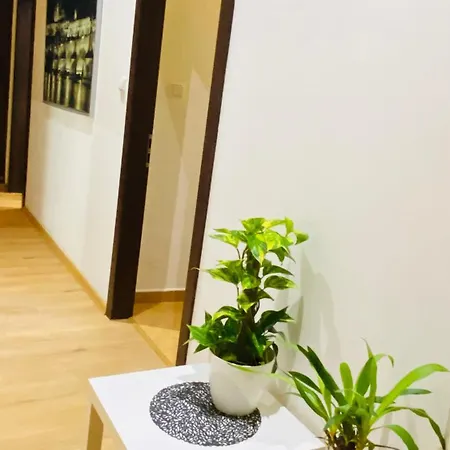 In 2 Square Apartment